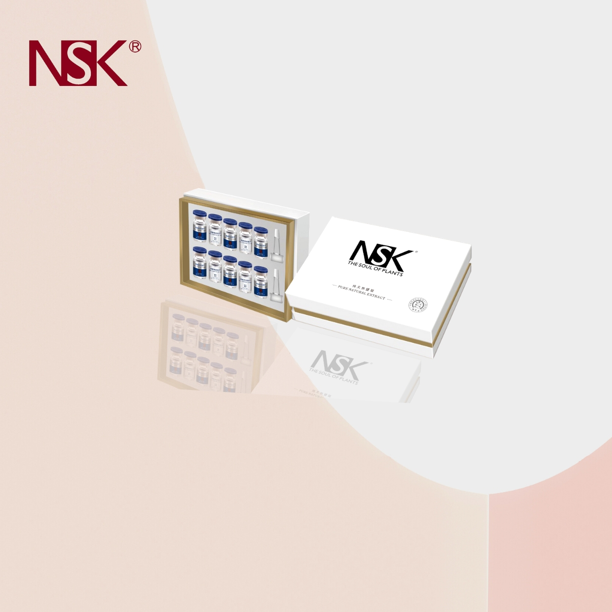 BỘT ĐÔNG KHÔ NSK